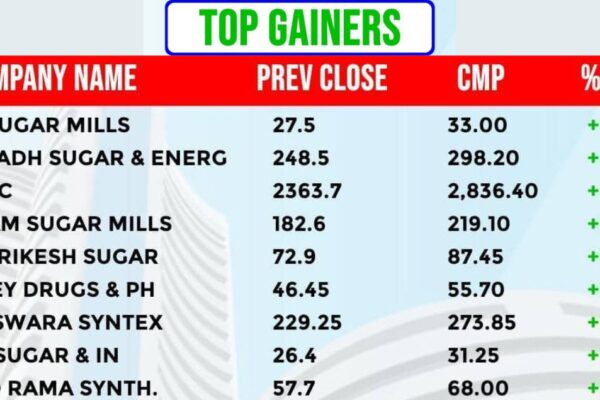 NSE Top Gainers in NIFTY 50: Stocks Leading the Rally